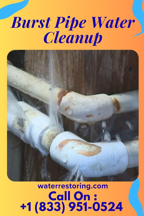 Burst Pipe Water Cleanup in North Star, DE