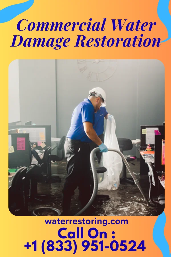 Commercial Water Damage Restoration in North Star, DE