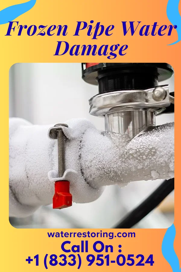 Frozen Pipe Water Damage in North Star, DE