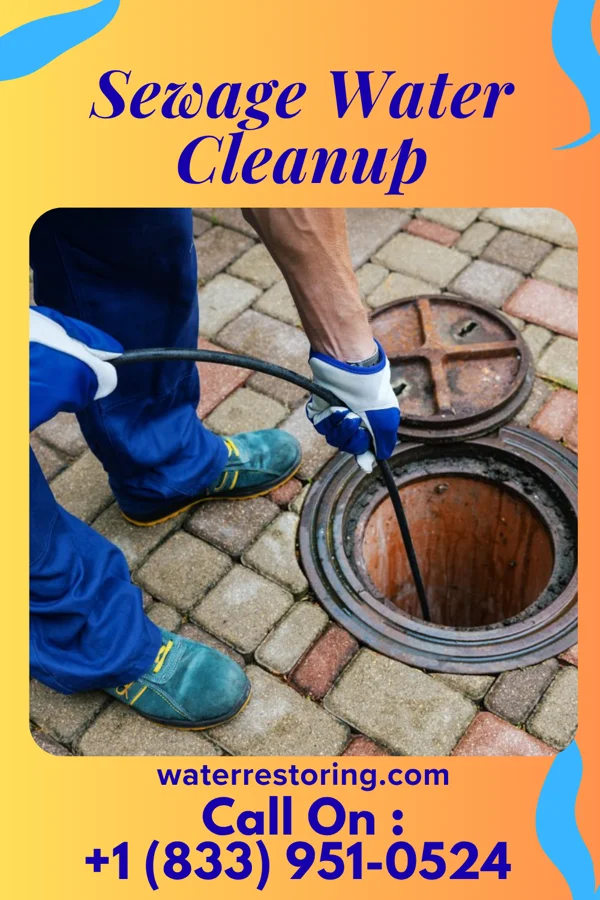 Sewage Water Cleanup in North Star, DE